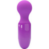 Pretty Love - Mini Masseur Personnel Violet